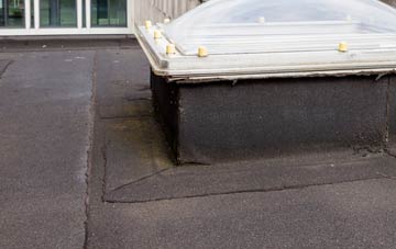 disadvantages of Pont Ar Hydfer flat roofs
