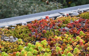 the cost of Pont Ar Hydfer green roof installation