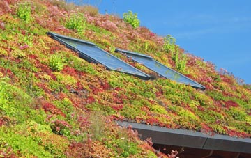 Pont Ar Hydfer living roof systems